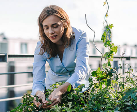 Articona Sustainability