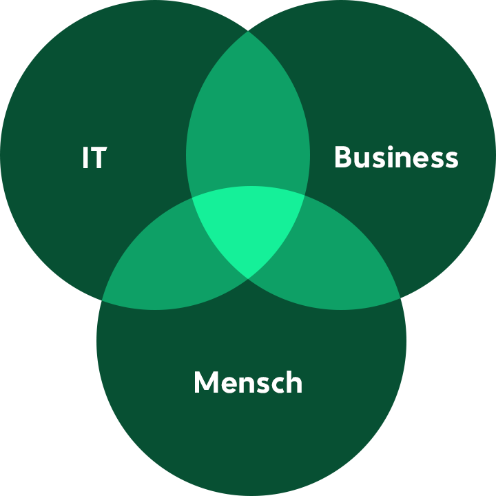 Diagram of overlaps between IT, people and business